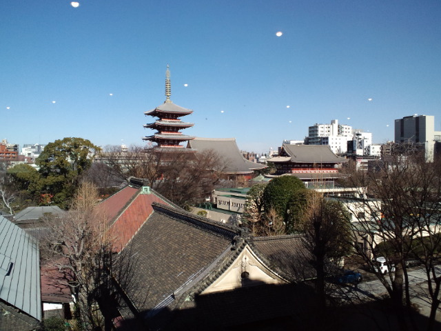 f0042295_21335694.jpg
