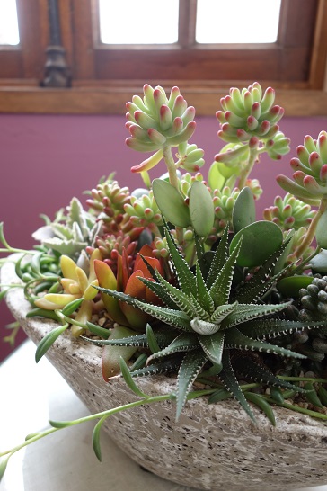 c0167112_1761610.jpg