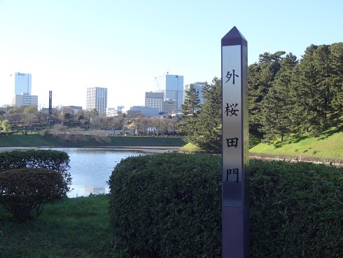 f0000521_19093936.jpg