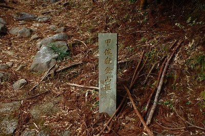 f0193521_201663.jpg