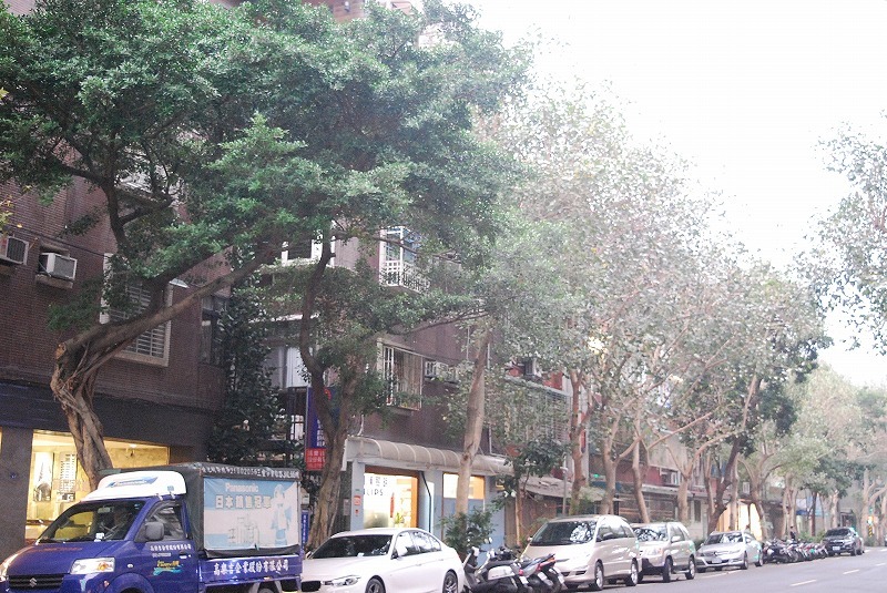 c0358326_05300351.jpg