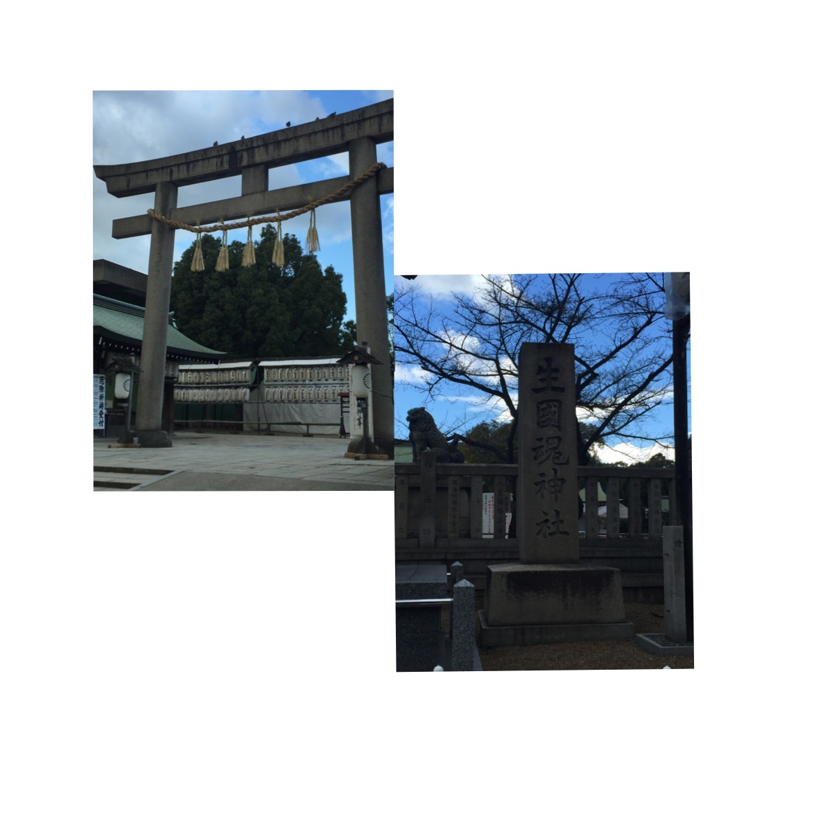 a0286228_00233316.jpeg