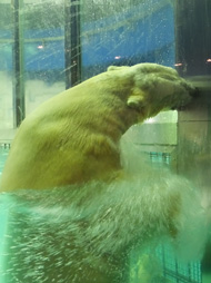 c0188928_2146377.jpg