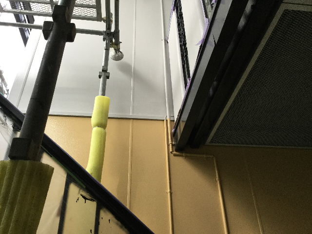 f0031037_2015913.jpg