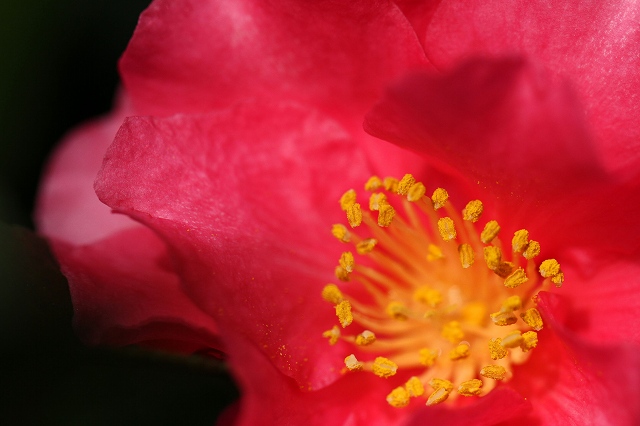 a0242438_212341100.jpg