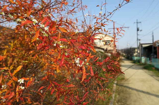 a0242438_21241022.jpg