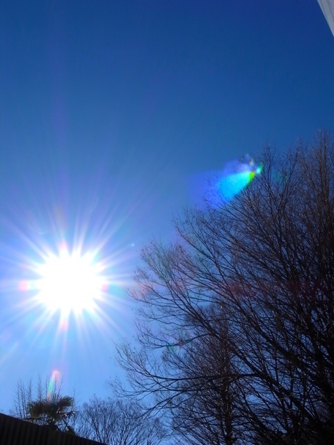 d0350542_00045598.jpg
