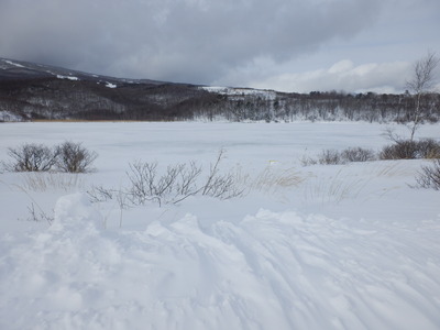 b0126549_17211013.jpg