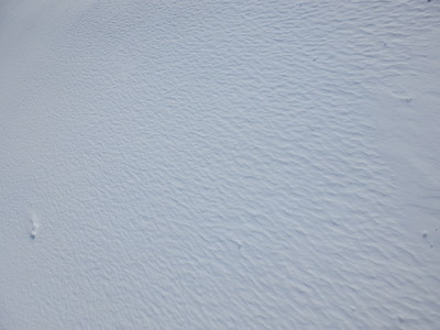 b0126549_176913.jpg
