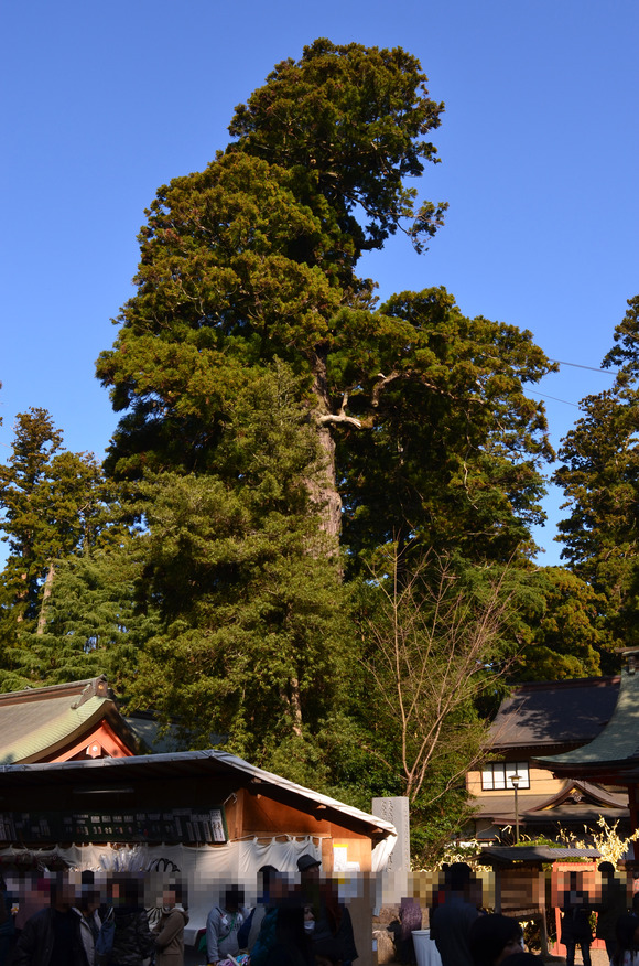 f0054556_12463433.jpg