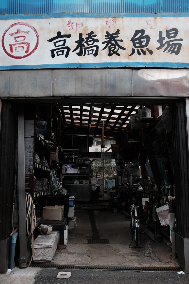 c0084666_21264608.jpg