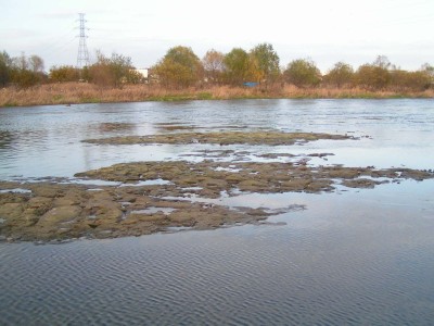 c0112172_23493581.jpg