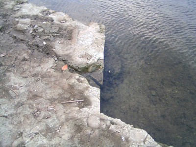 c0112172_23495445.jpg
