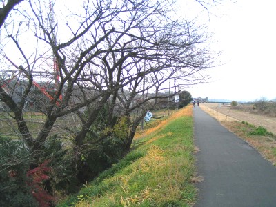 c0112172_23502796.jpg