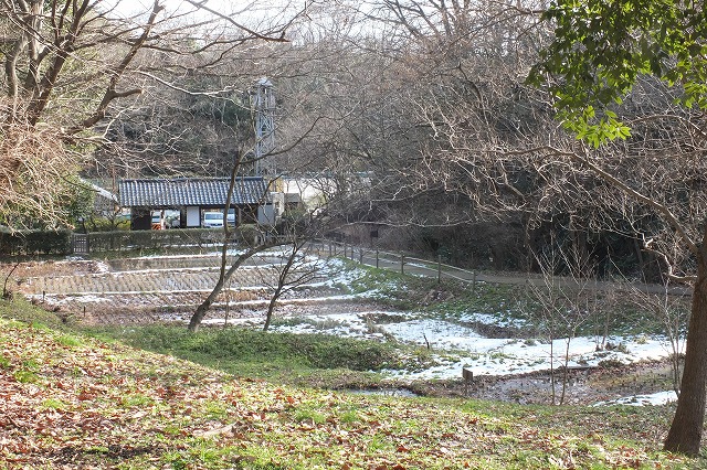e0339873_18252492.jpg