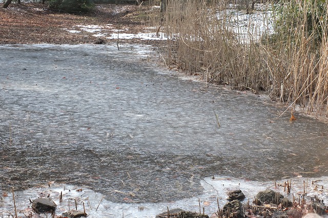 e0339873_18273190.jpg