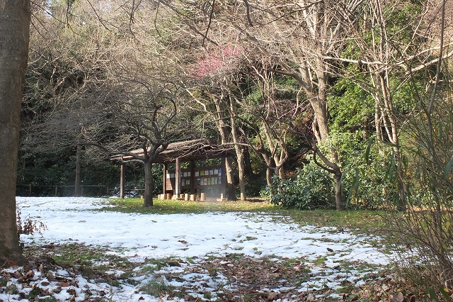 e0339873_1829447.jpg