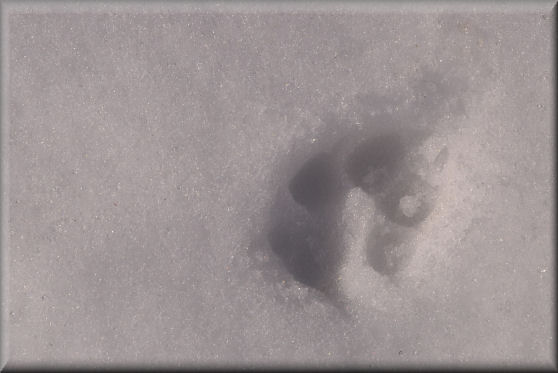 e0099375_9425550.jpg