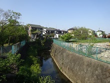 d0183387_16445556.jpg