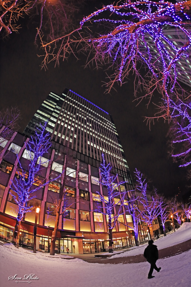 b0167798_6503649.jpg