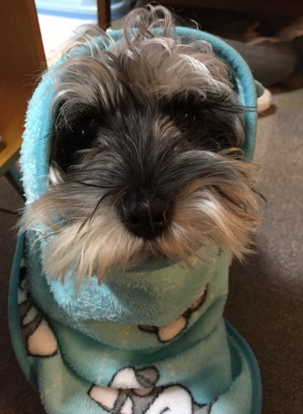 b0188998_22155204.jpeg