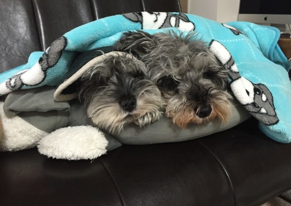 b0188998_22161729.jpeg
