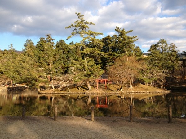 f0221708_1424546.jpg