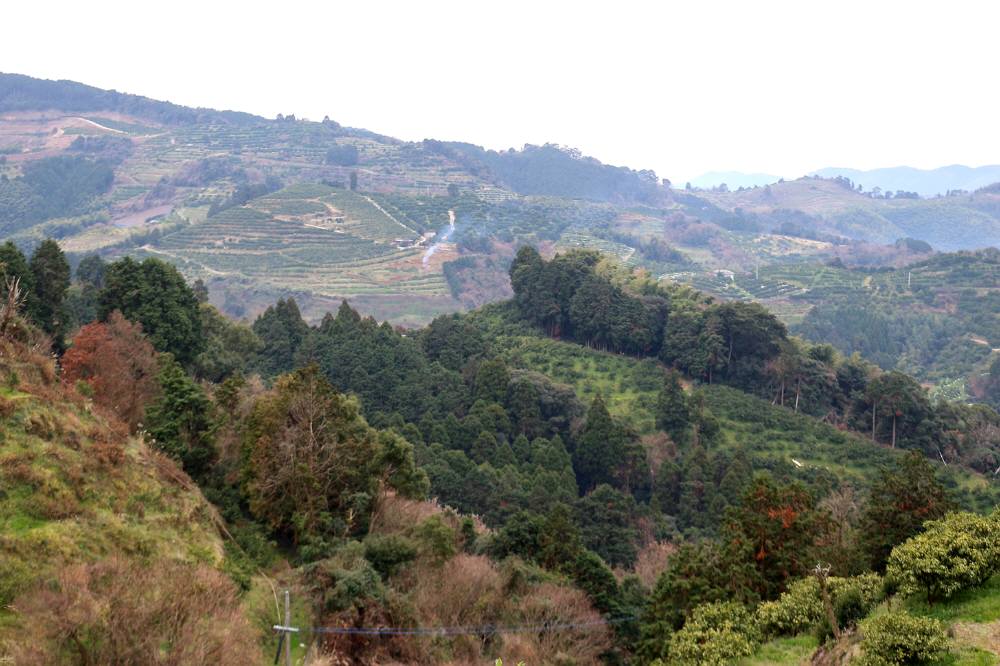 f0212511_0375924.jpg