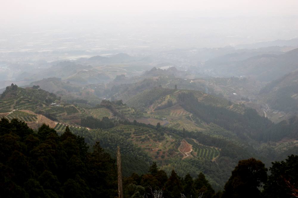 f0212511_039237.jpg