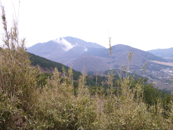 d0170615_10505611.jpg