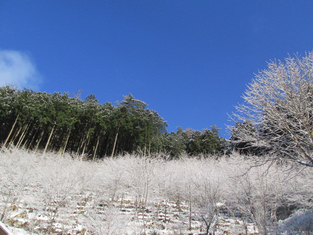 f0341616_13522795.jpg