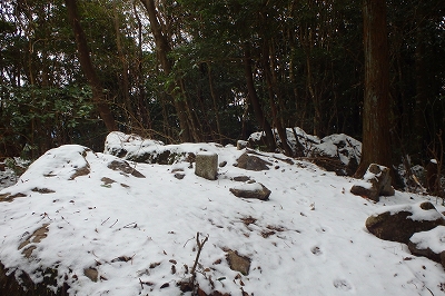 f0193521_4212640.jpg