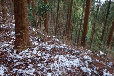f0193521_429562.jpg