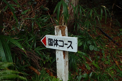 f0193521_4345191.jpg