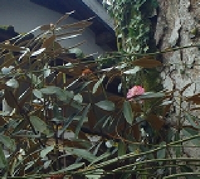 f0193521_443222.jpg