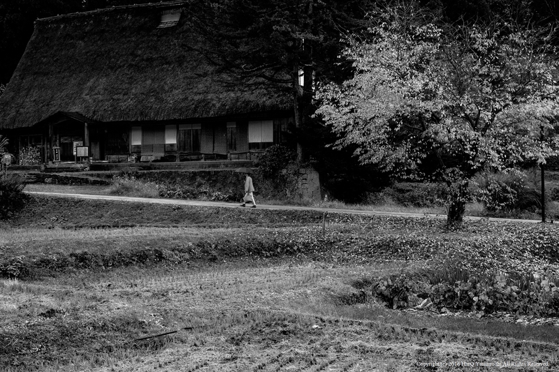 c0198227_19461267.jpg