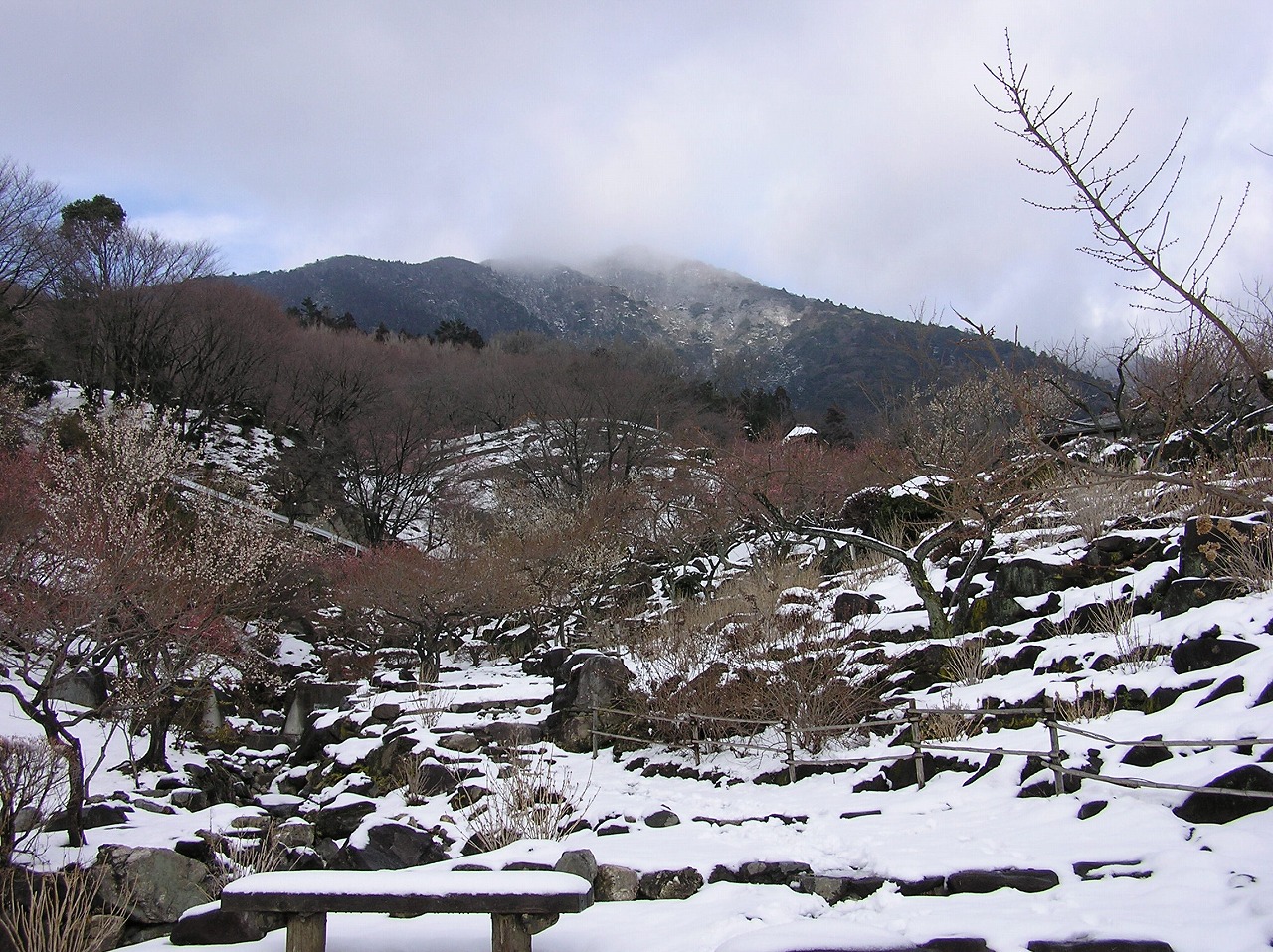 b0162728_6501352.jpg
