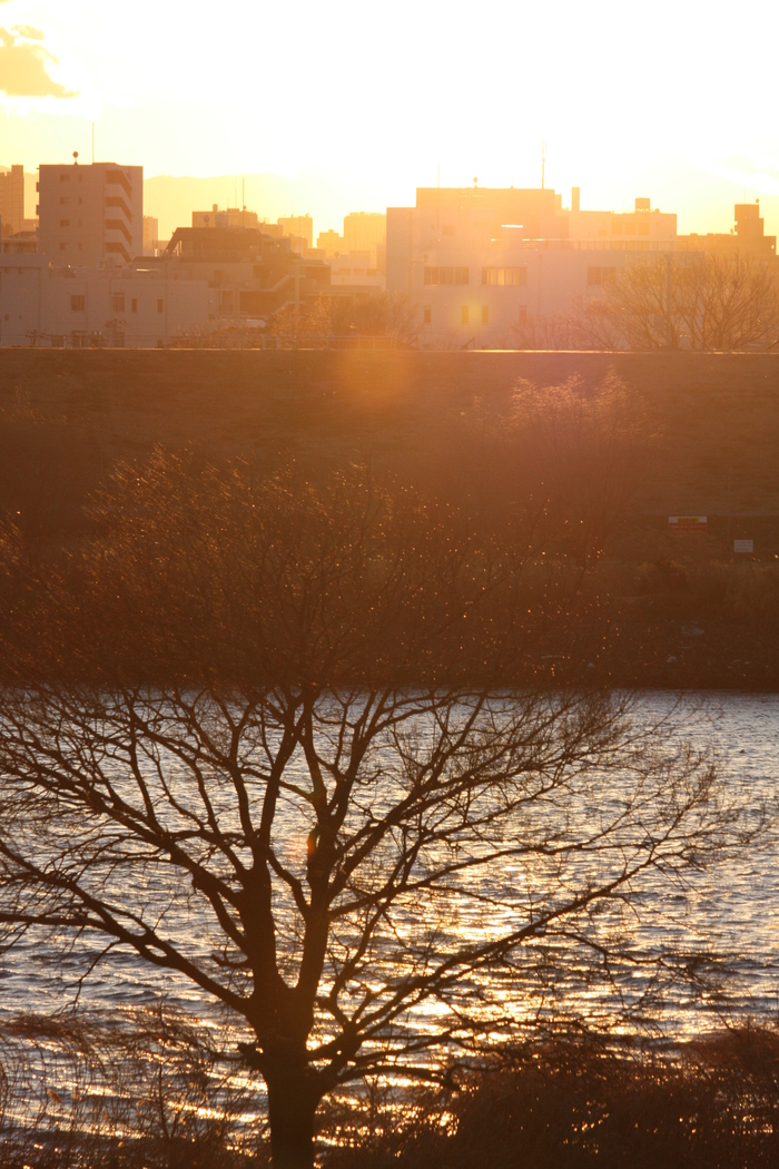 a0214329_9183048.jpg