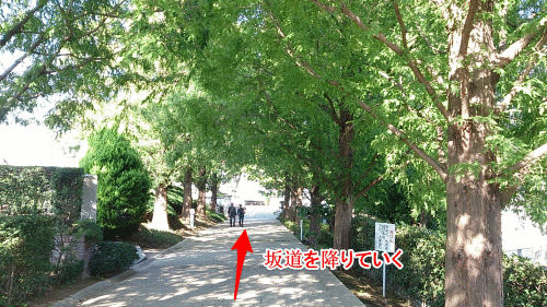 b0178557_21123934.gif