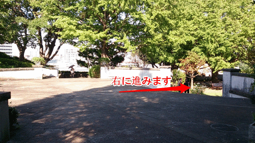 b0178557_21125739.gif