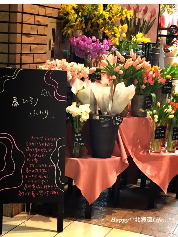 a0337860_23080350.jpeg