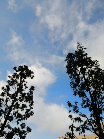e0342965_15352098.jpg