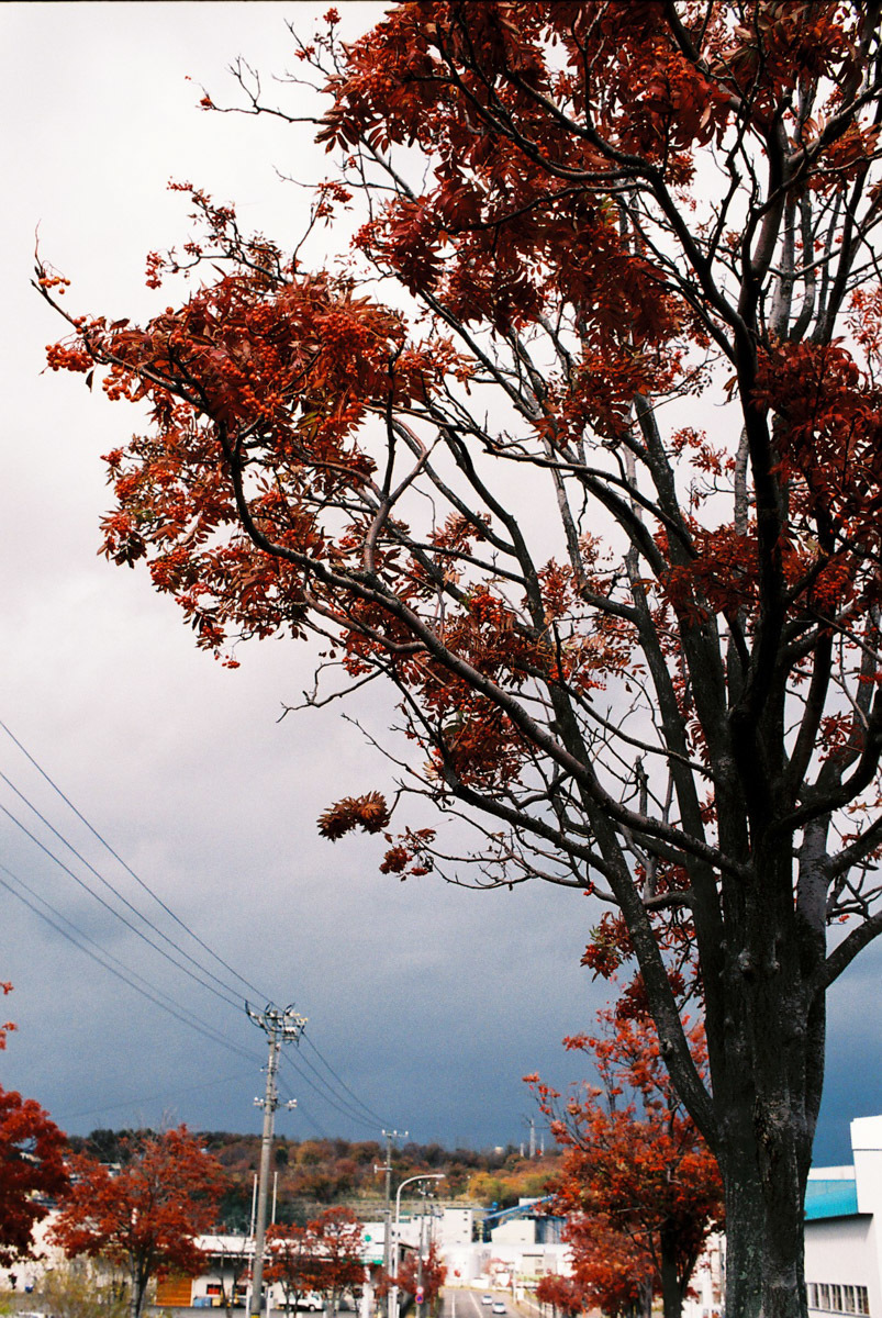 c0084666_00090895.jpg