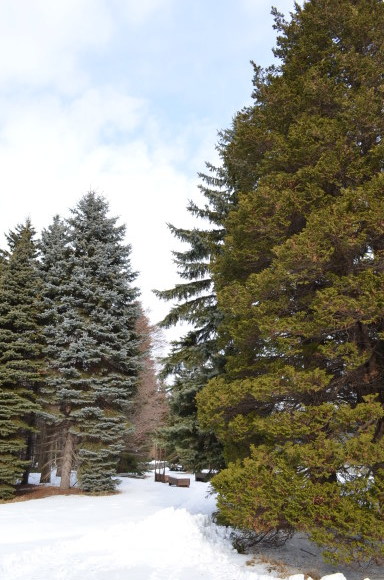 e0120466_11120085.jpg