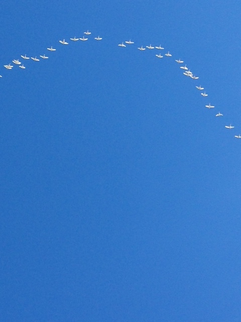 e0160568_15405894.jpg