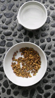 f0016892_8553629.jpg