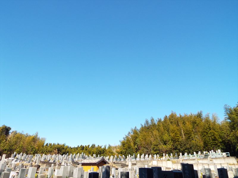 c0108198_1627325.jpg