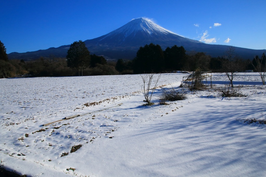 a0188405_15571747.jpg