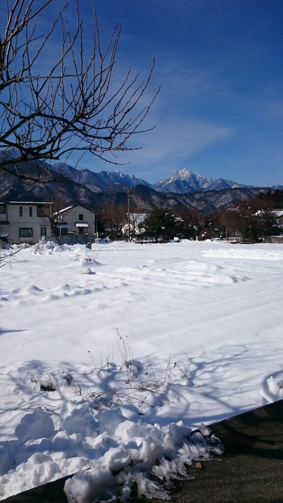d0259806_19530736.jpg