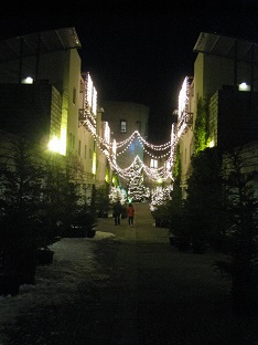 f0040310_0385790.jpg